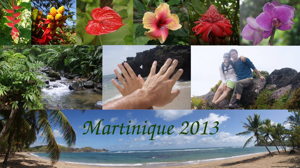 Martinique 2013