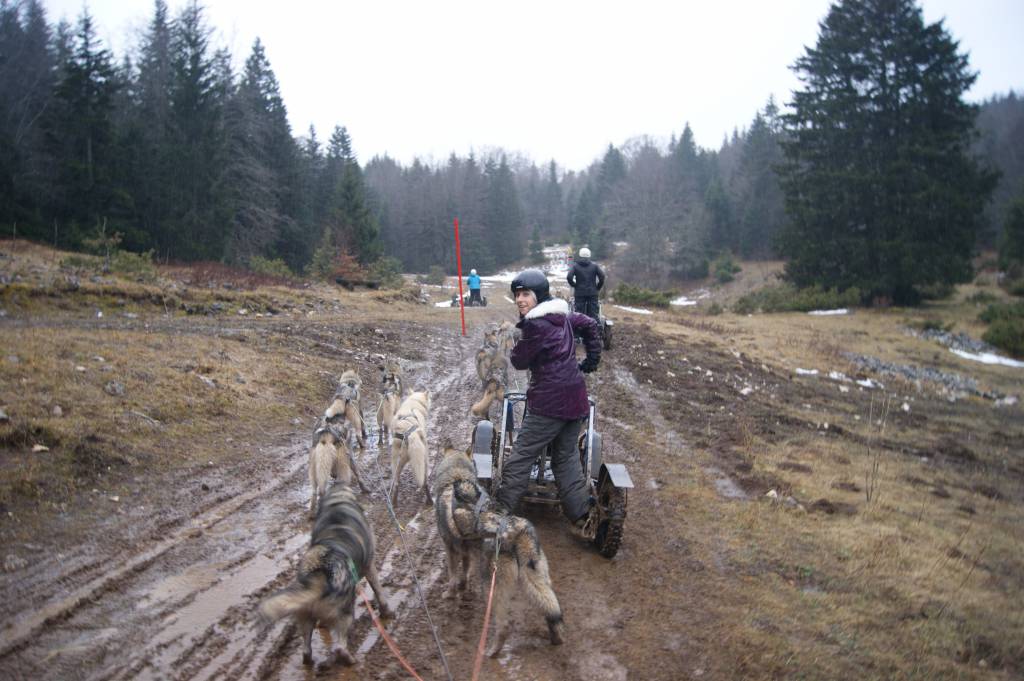 Husky-kart dans la boue